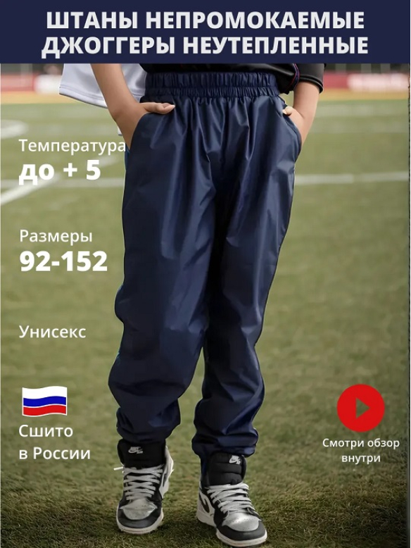 Брюки джоггеры ДЮСПО синий